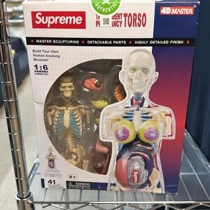 Supreme pregnancy Torso